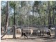 81 Long Gully Road, Summerholm QLD 4341