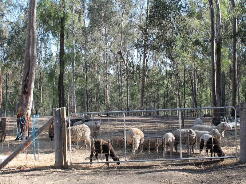 81 Long Gully Road, Summerholm QLD 4341