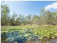 65 James Rd, Pine Mountain QLD 4306