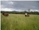 974-1044 Rosewood-Laidley Rd, Grandchester QLD 4340