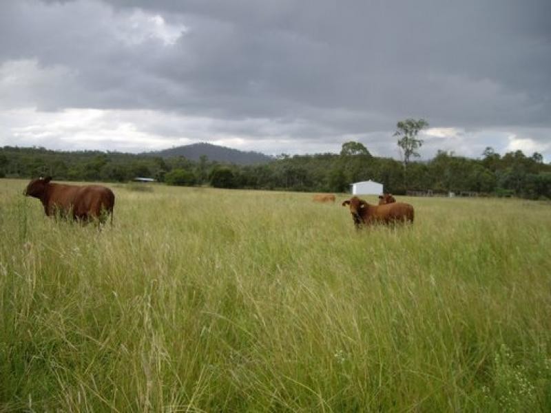 974-1044 Rosewood-Laidley Rd, Grandchester QLD 4340