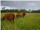 974-1044 Rosewood-Laidley Rd, Grandchester QLD 4340