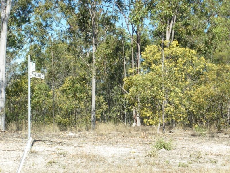 20 Andrews Court, Regency Downs QLD 4341