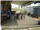 Mount Walker QLD 4340