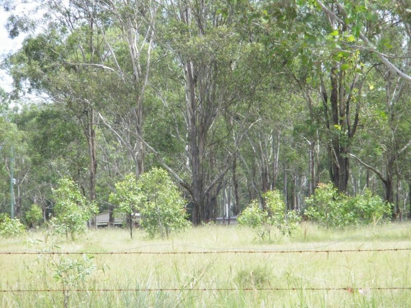 Lower Mount Walker QLD 4340