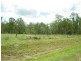 Lower Mount Walker QLD 4340