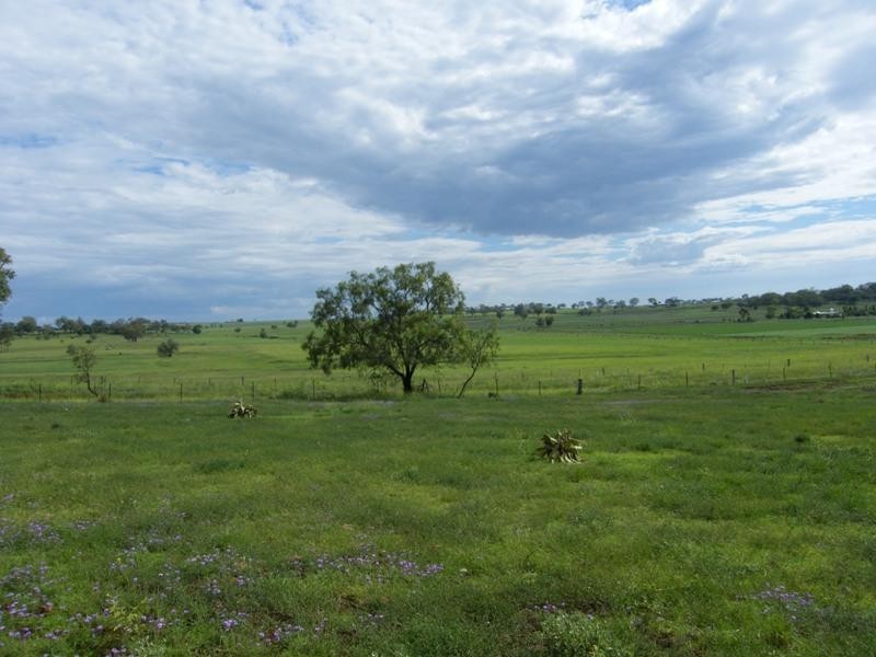 Westbrook QLD 4350