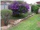 Middle Ridge QLD 4350
