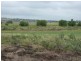 E Drews Road, Wellcamp QLD 4350