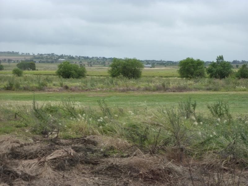 E Drews Road, Wellcamp QLD 4350