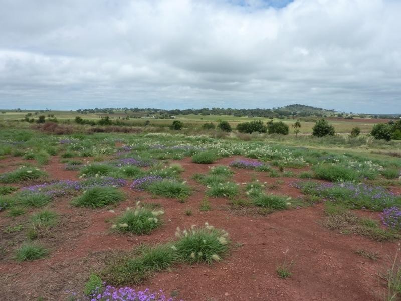 E Drews Road, Wellcamp QLD 4350