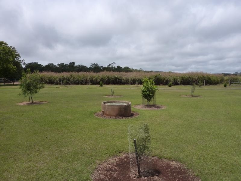 E Drews Road, Wellcamp QLD 4350