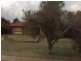Newtown QLD 4350