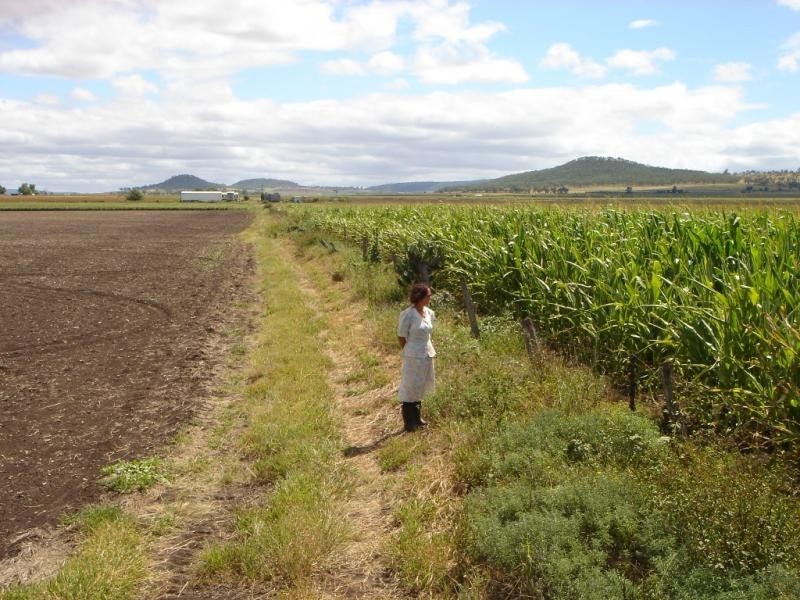 Lot 102 – 103 Saal Road, Spring Creek QLD 4361