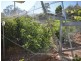 15 Rosevale Street, Darling Heights QLD 4350