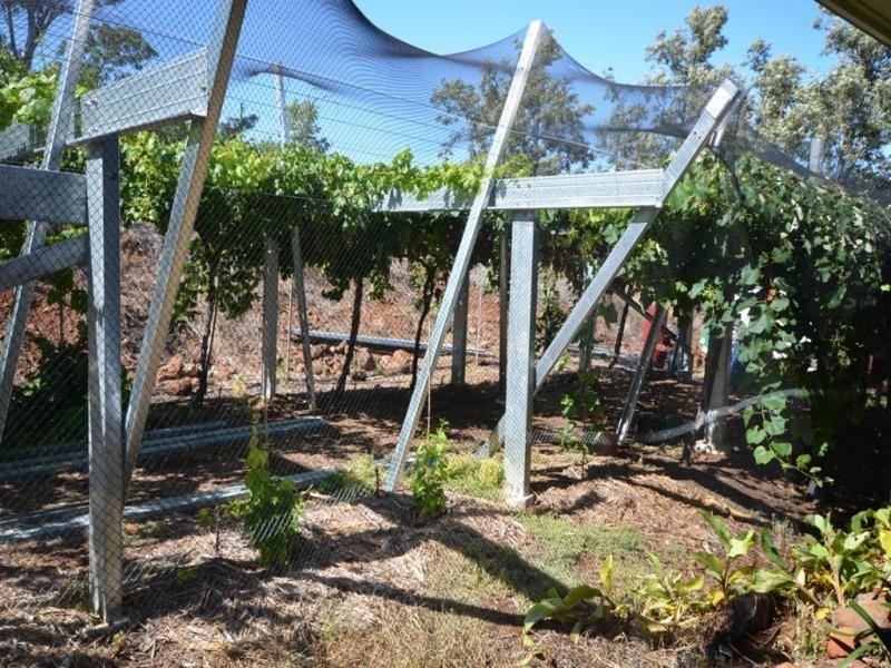 15 Rosevale Street, Darling Heights QLD 4350