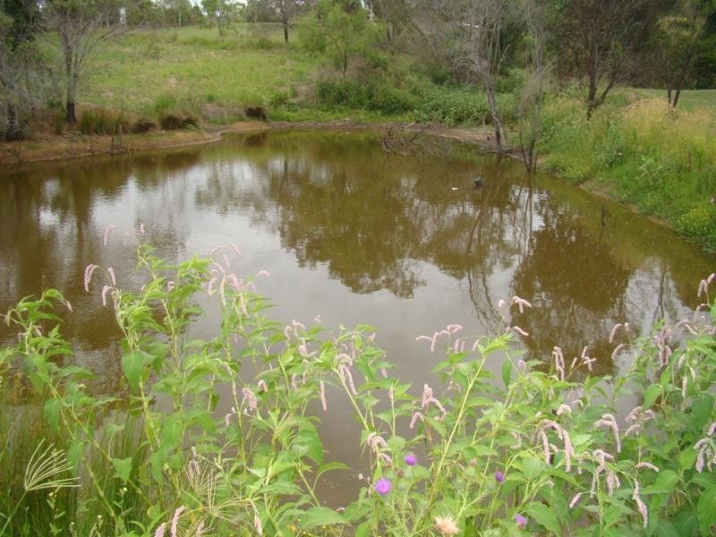 118 Blanchview Road, Blanchview QLD 4352