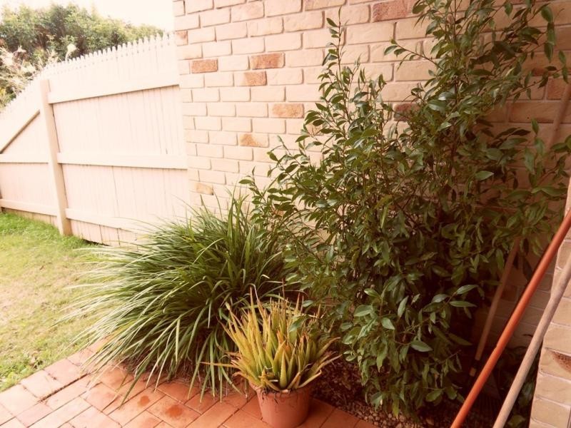 Darling Heights QLD 4350