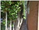 Mount Lofty QLD 4350