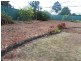 Drayton QLD 4350