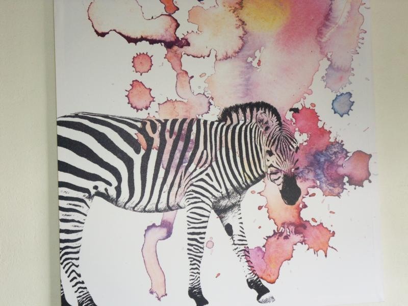 14/9 Uniplaza Court, Kearneys Spring QLD 4350