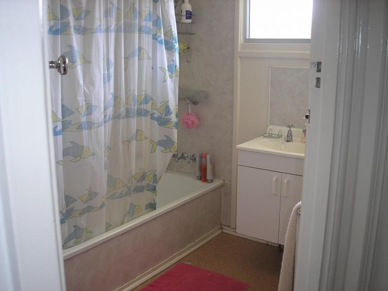 6 Young Street, Riverview QLD 4303