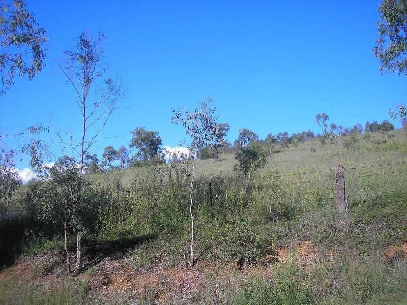 198 Banks Creek Road, Fernvale QLD 4306