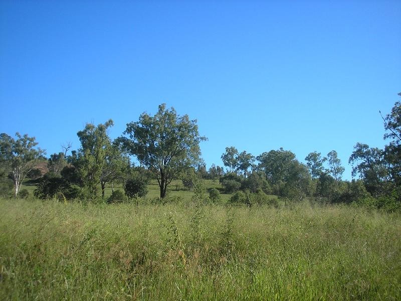 198 Banks Creek Road, Fernvale QLD 4306