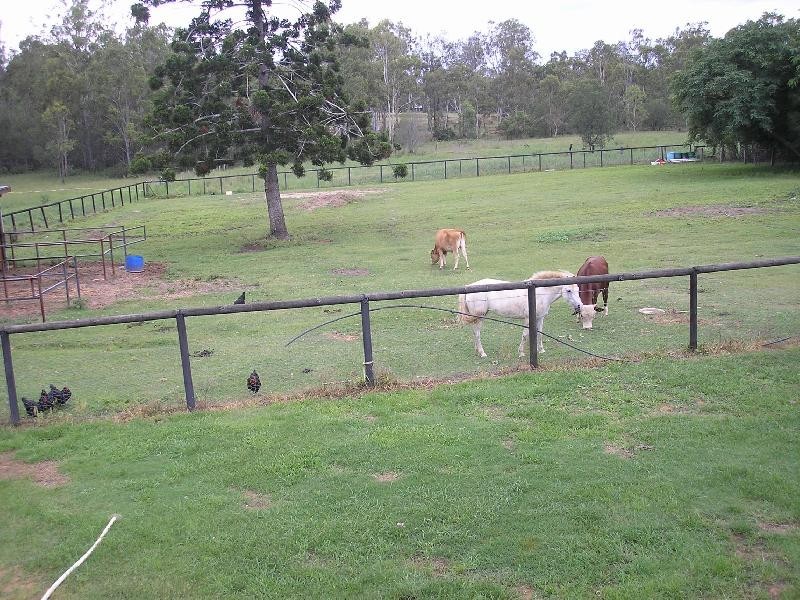 58 Schillings Road, Karrabin QLD 4306