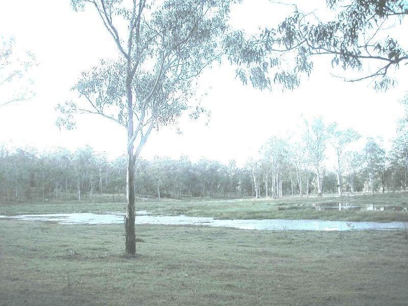 584 Rosewood Laidley Road, Calvert QLD 4340