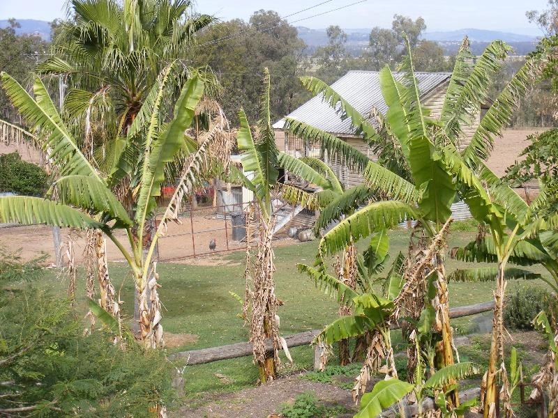 58 Beutels Road, Patrick Estate QLD 4311