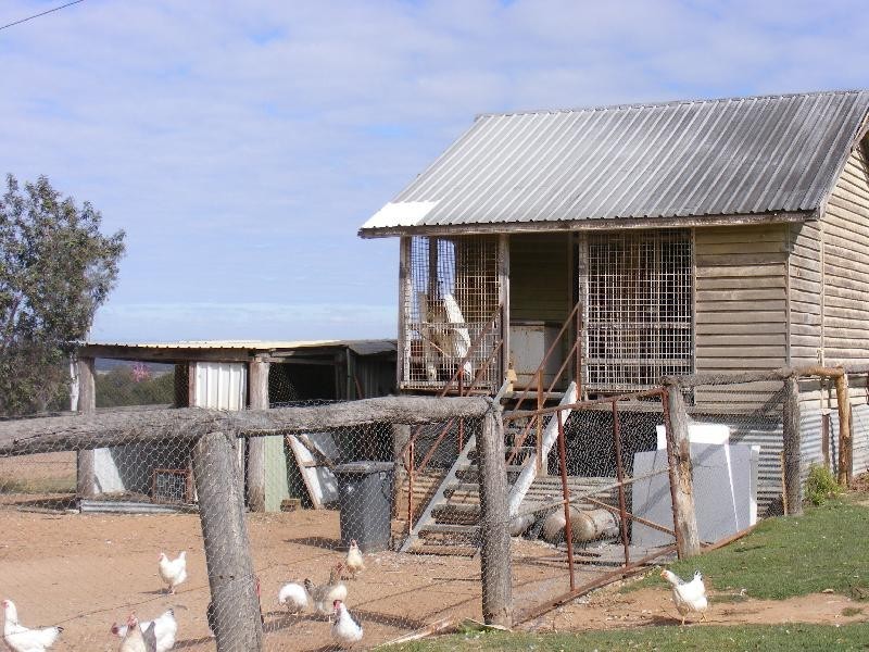 58 Beutels Road, Patrick Estate QLD 4311