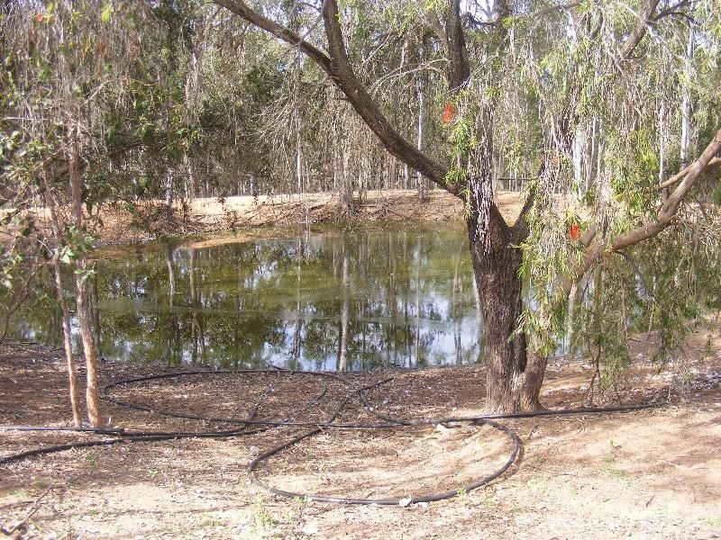 58 Beutels Road, Patrick Estate QLD 4311