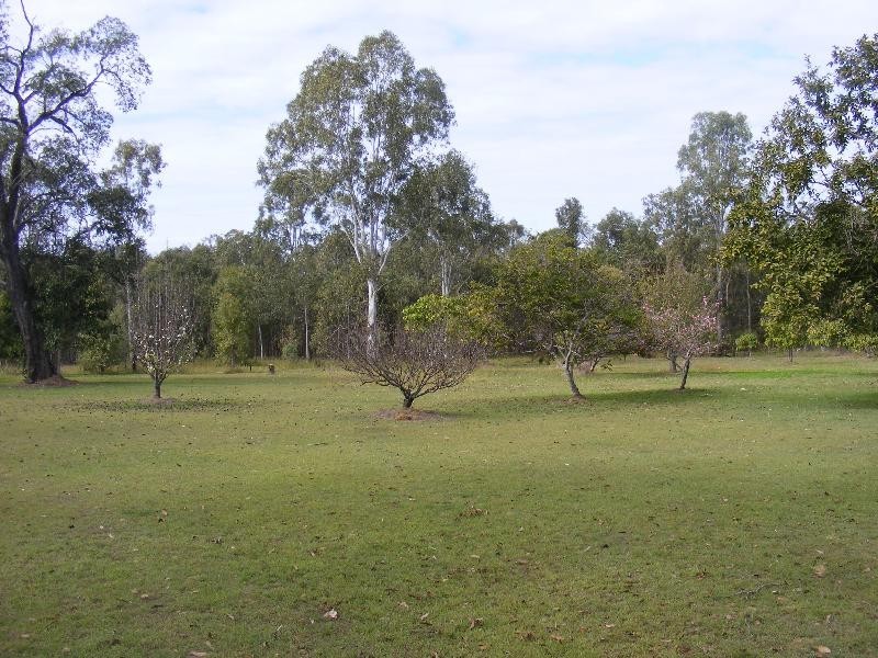 58 Beutels Road, Patrick Estate QLD 4311