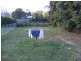 52 Railway Street, Booval QLD 4304