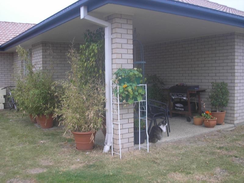 111 Woodcrest Way, Springfield QLD 4300