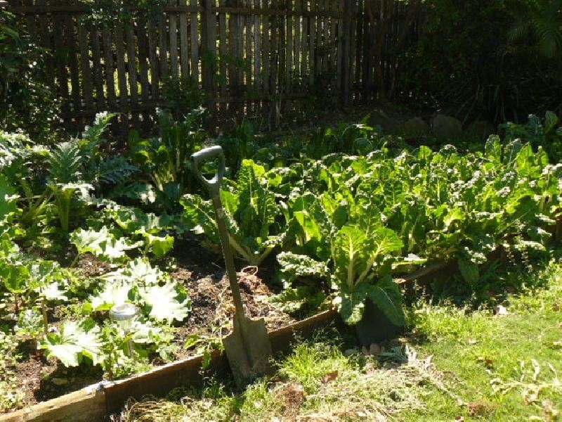 12 Shine Street, One Mile QLD 4305