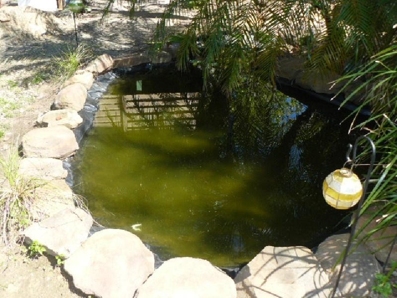 12 Shine Street, One Mile QLD 4305