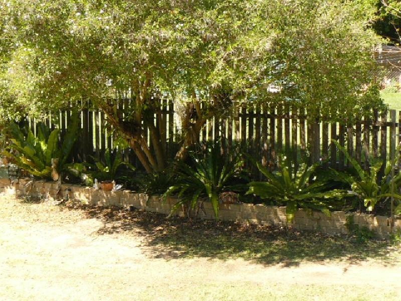 12 Shine Street, One Mile QLD 4305