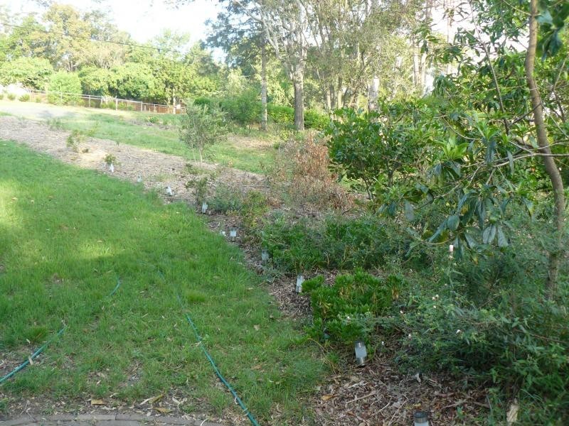 38 Philip Street, Redbank Plains QLD 4301