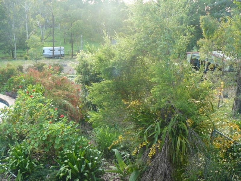 38 Philip Street, Redbank Plains QLD 4301