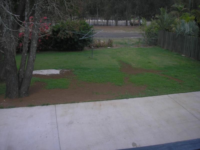 215 Pine Mountain Road, Brassall QLD 4305