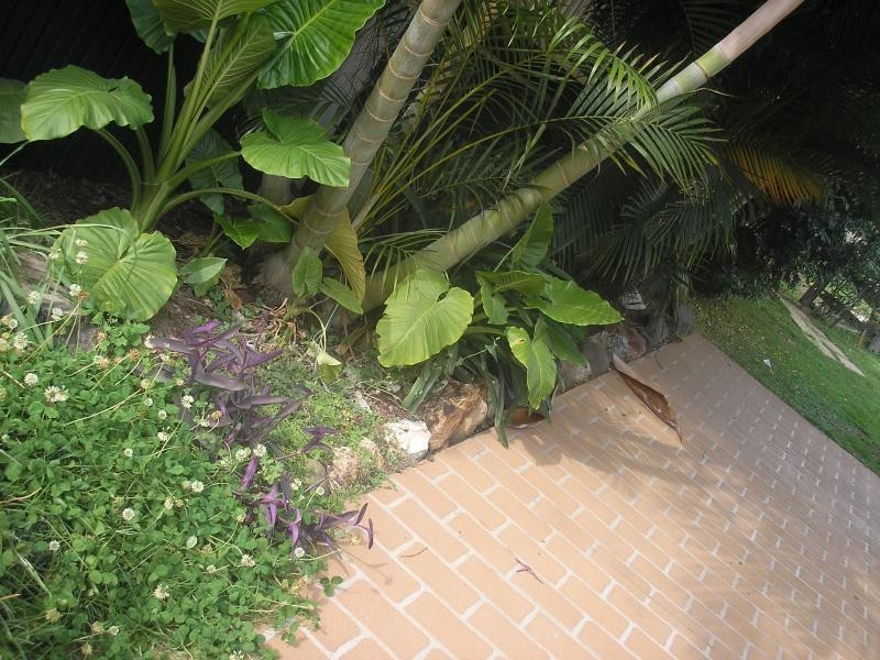 43 Smith Street, North Ipswich QLD 4305