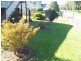 7 Willey Street, Ipswich QLD 4305
