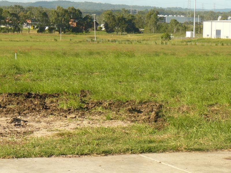 Lot 60 Habben Court, Bundamba QLD 4304