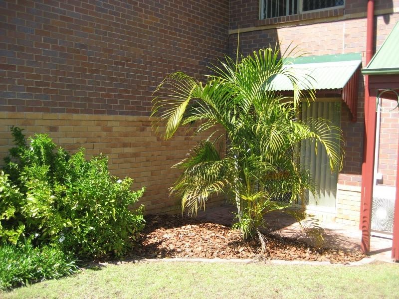 2/17 Edith Drive, North Ipswich QLD 4305