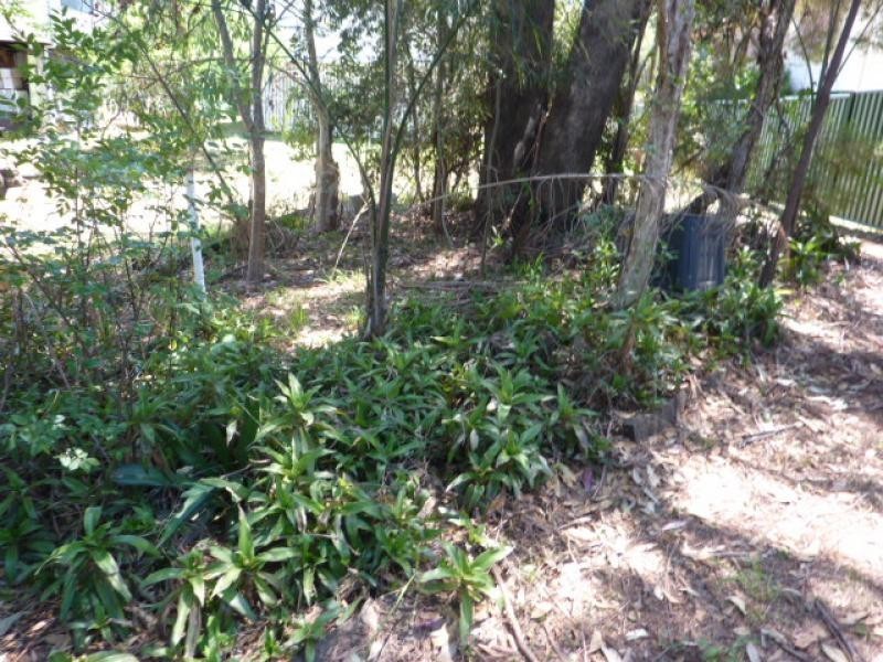 19 Belleglade Avenue, Bundamba QLD 4304