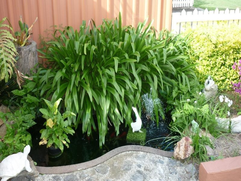 25 Currey Street, Brassall QLD 4305