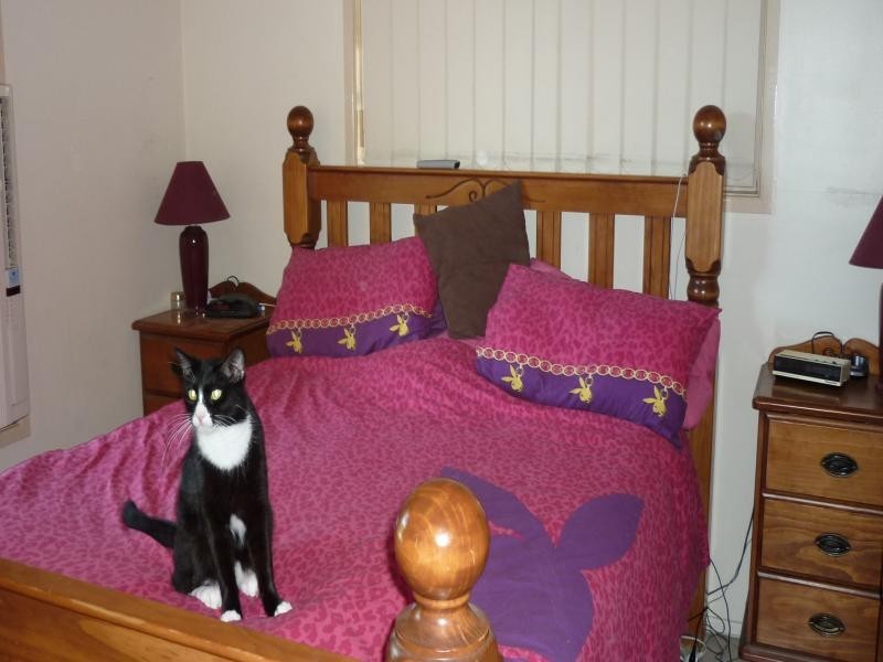 6 Short Street, Walloon QLD 4306