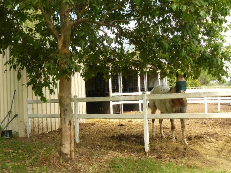 1019 Brisbane Valley Highway, Fairney View QLD 4306
